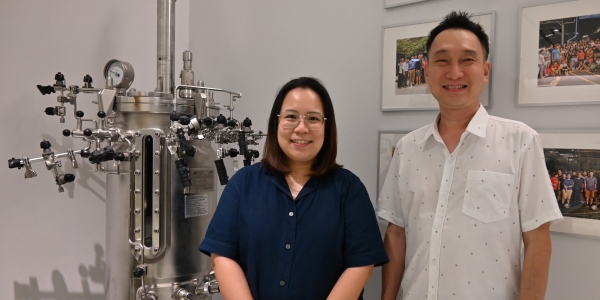 Leveraging Lactococcus lactis for FGF-2 Growth Factor Production and Secretion