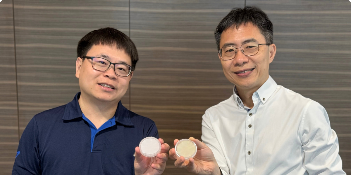 A*STAR IMRE’s R&D Opens an Avenue for Wafer-Scale 2D Semiconductors