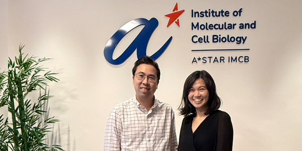 A*STAR IMCB Researchers Awarded NRF CRP Funding to Advance Research in Neurodegeneration and Drug Resistance