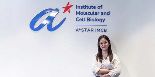 Unbinding the “Undruggable”: How Molecular Glues Could Change the Way We Treat Disease